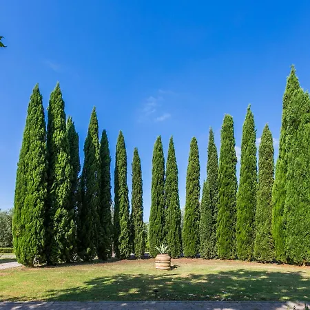 Quercia Alta By Interhome Le Case